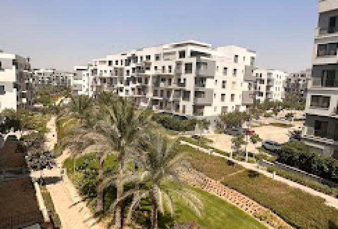 8413022 - صورة العقار 3