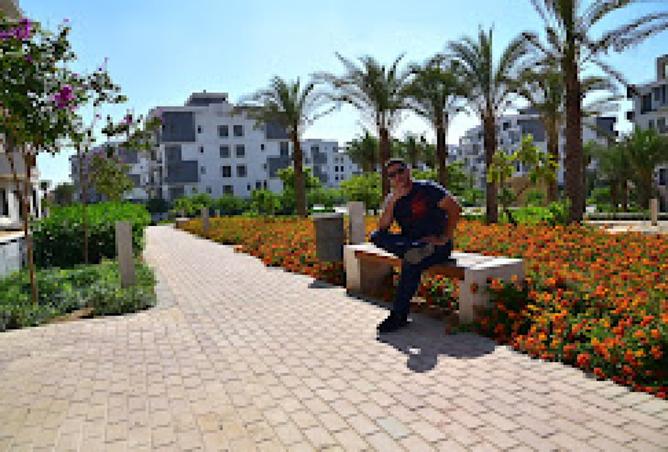 8413022 - صورة العقار 2