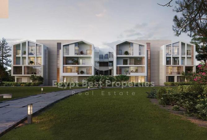 8483561 - Property Image 2