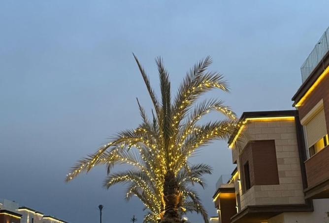 98826366 - صورة العقار 3