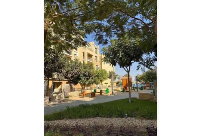 8419637 - Property Image 2