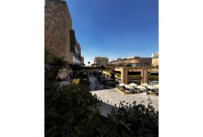 109625337 - Property Image 2