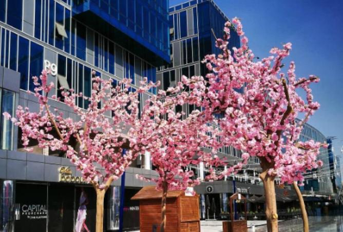 70367037 - Property Image 2