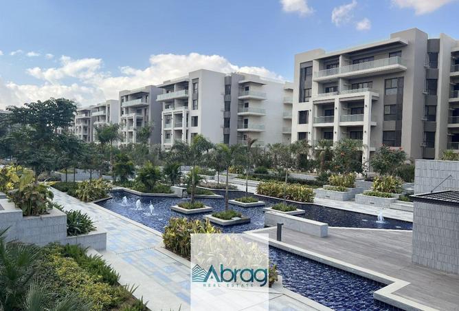 62894337 - Property Image 3