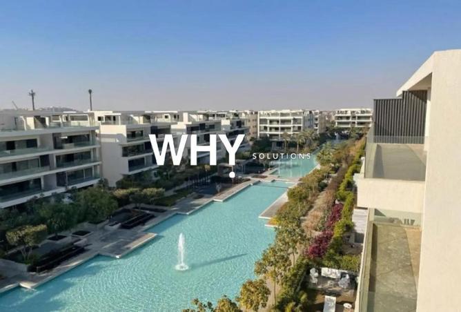 64393027 - Property Image 3