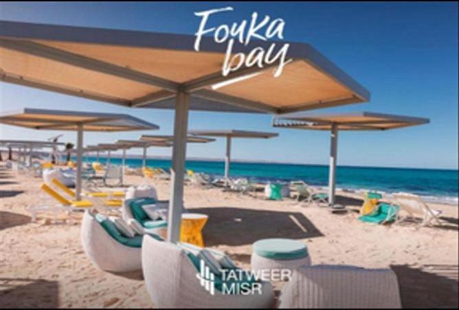 68000767 - Property Image 3