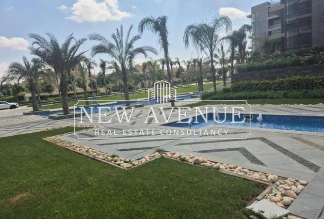 64384122 - Property Image 3