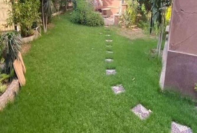 65408531 - صورة العقار 3