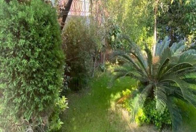 65408531 - صورة العقار 2