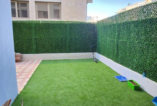 51166223 - صورة العقار 3