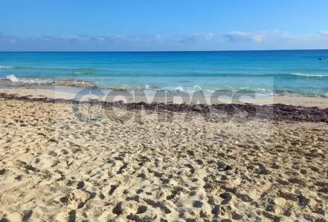 113251660 - صورة العقار 3