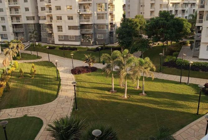 55504006 - صورة العقار 2