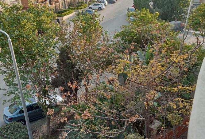 8569969 - الصورة الرئيسية للعقار