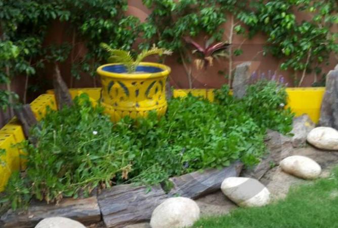 66702483 - الصورة الرئيسية للعقار