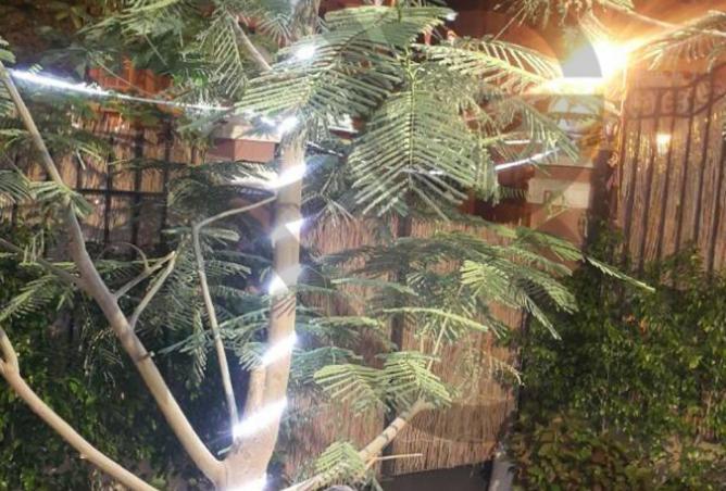 66702483 - صورة العقار 2