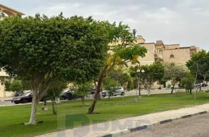 شقة - 3 غرف نوم - 3 حمامات للايجار في 6 ويست - بيفرلي هيلز - كمبوندات الشيخ زايد - الشيخ زايد - الجيزة شقة - 3 غرف نوم - 3 حمامات للايجار في 6 ويست - بيفرلي هيلز - كمبوندات الشيخ زايد - الشيخ زايد - الجيزة