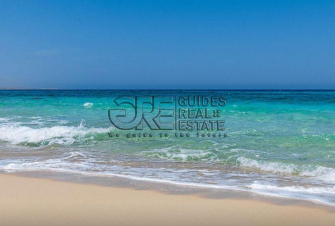 66966733 - صورة العقار 3