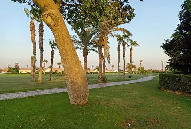 76784427 - الصورة الرئيسية للعقار