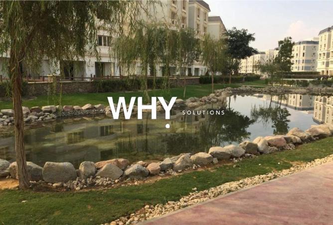 74593657 - Property Image 3