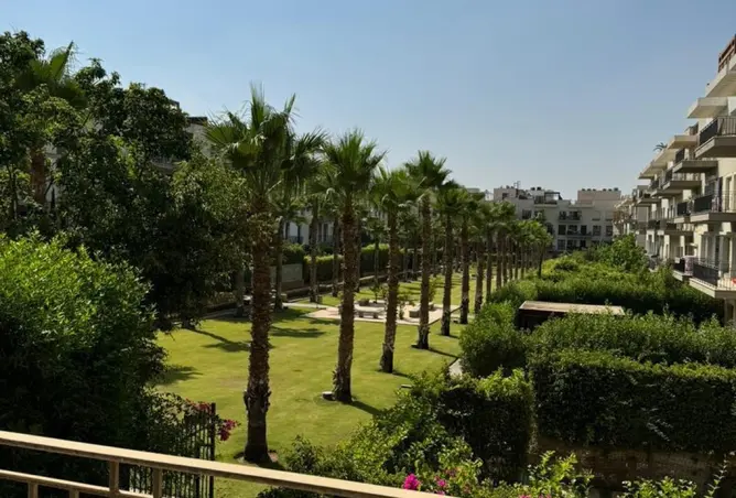 113265262 - صورة العقار 3