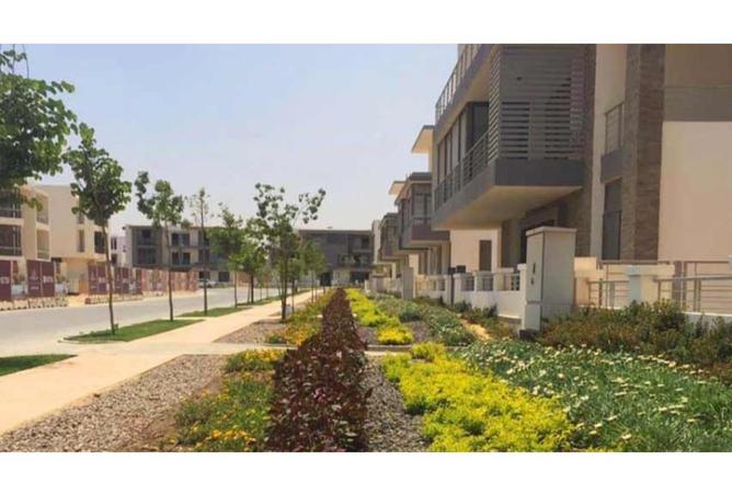 70095107 - Property Image 3