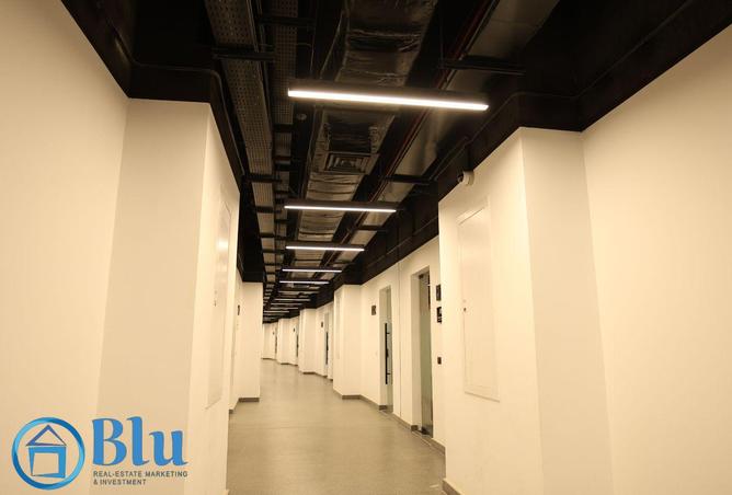 67221056 - Property Image 3