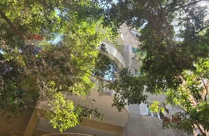 Whole Building - 7+ - 7+ for sale in Mohandessin - Giza