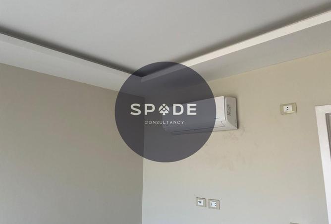 54487026 - Property Image 3