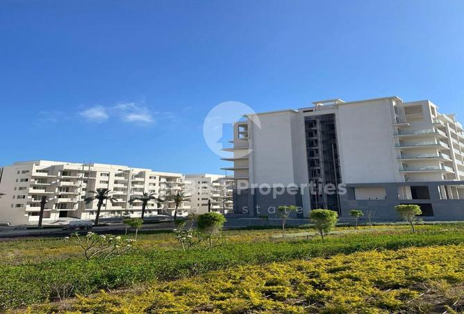 91298326 - Property Image 3