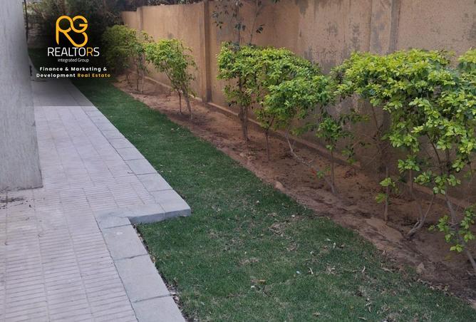 97430780 - صورة العقار 2