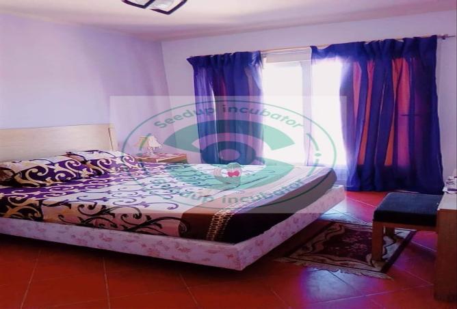 58981388 - Property Main Image