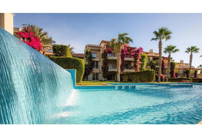 8478301 - Property Image 2