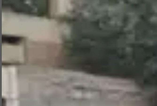 100096738 - صورة العقار 2