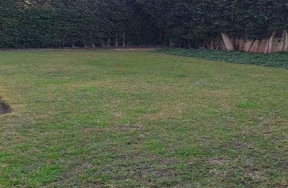 Apartment - 3 Bedrooms - 2 Bathrooms for rent in One 16 - Sheikh Zayed Compounds - Sheikh Zayed City - Giza