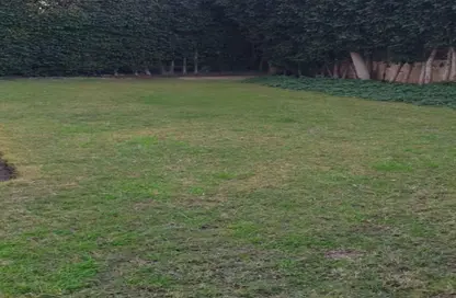 شقة - 3 غرف نوم - 2 حمامات للايجار في 16 وان - كمبوندات الشيخ زايد - الشيخ زايد - الجيزة