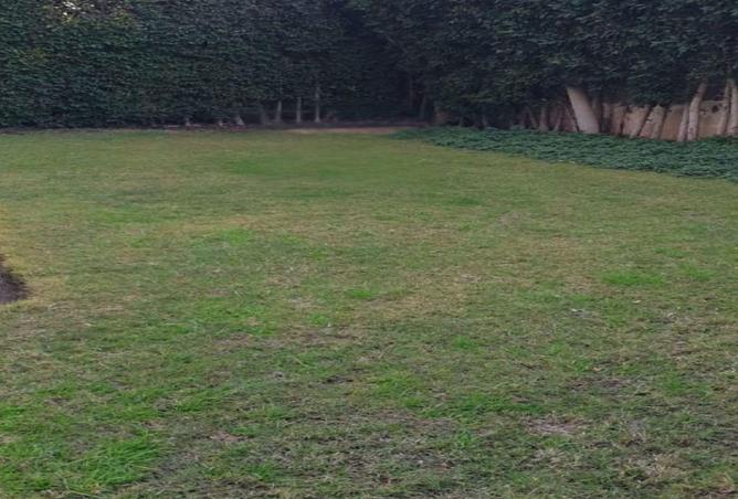 68002423 - الصورة الرئيسية للعقار