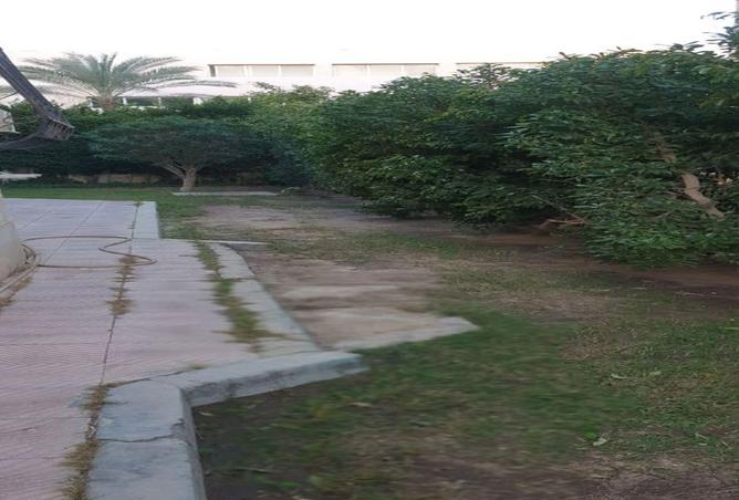 68002423 - صورة العقار 2