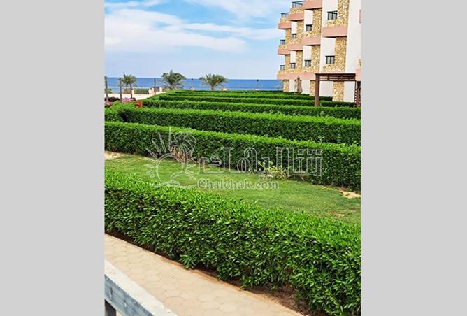 62410528 - Property Image 2