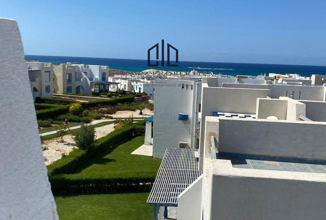 97428955 - صورة العقار 2