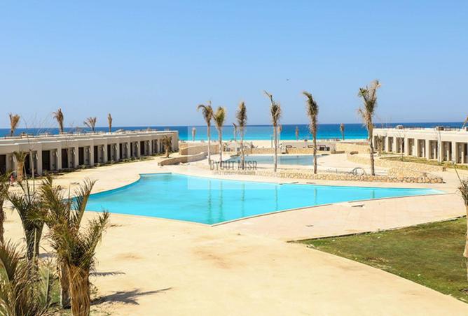 99121747 - صورة العقار 3
