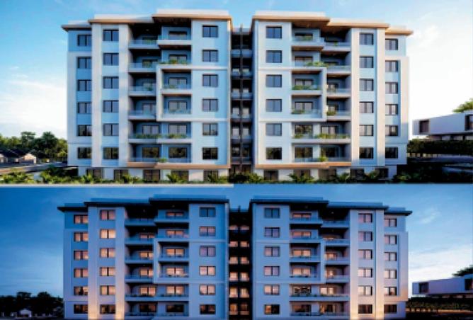 58995751 - Property Image 2