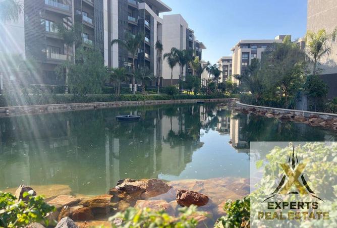 8443639 - صورة العقار 2