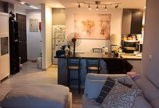 116751439 - Property Image 3
