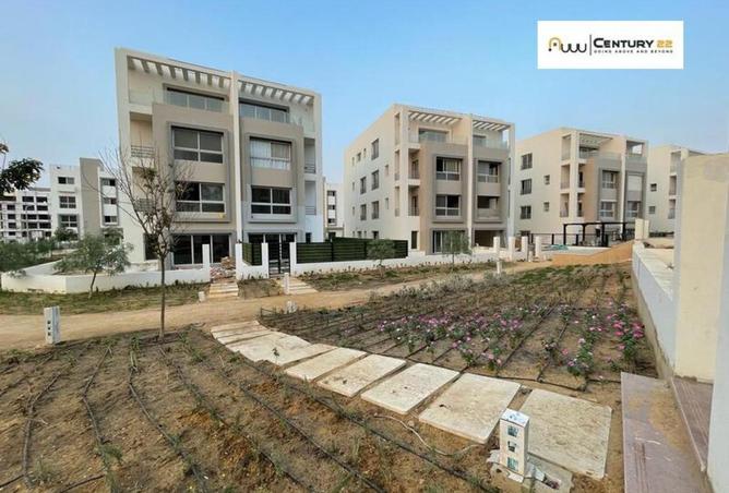 82101068 - Property Image 2