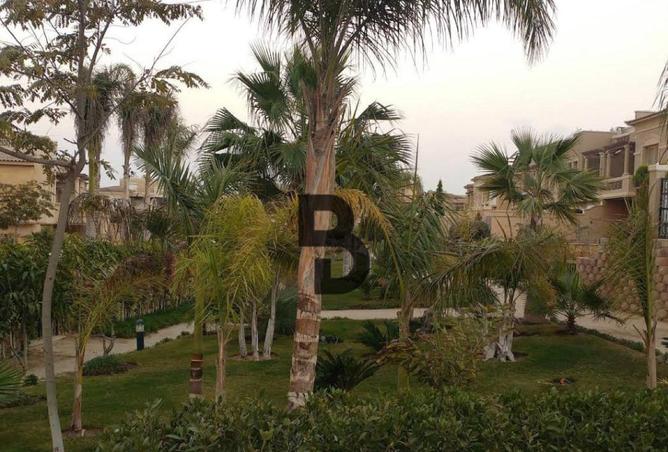 76239432 - صورة العقار 3