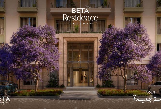 8717897 - صورة العقار 2