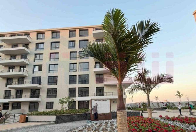 64130975 - Property Image 2