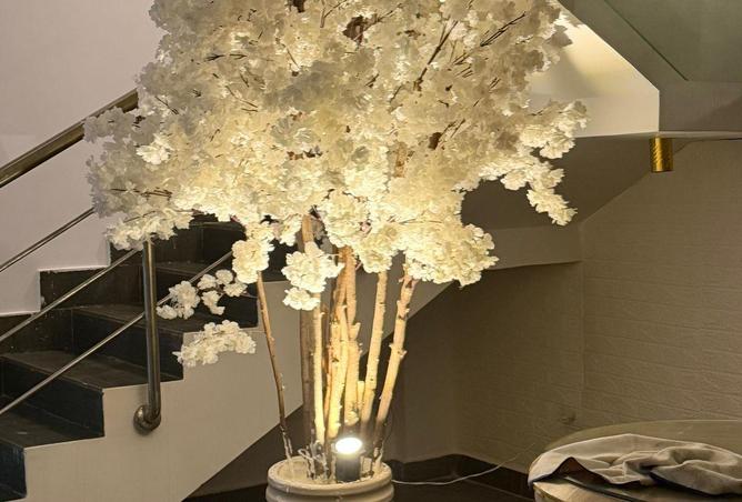 60950516 - Property Image 3