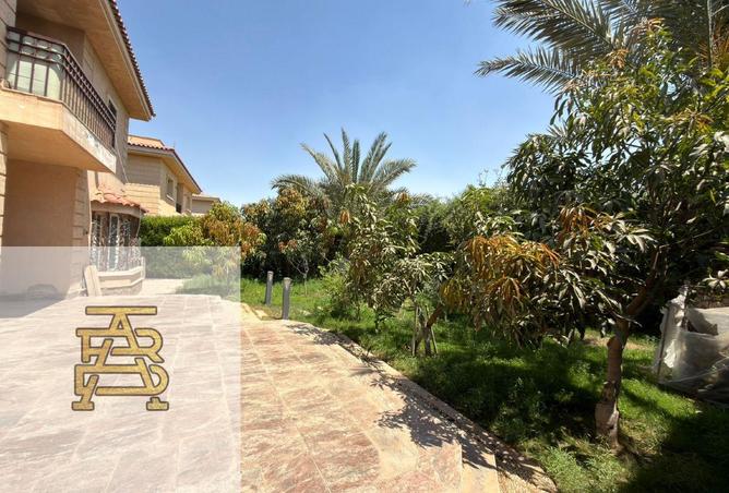 99388728 - صورة العقار 2