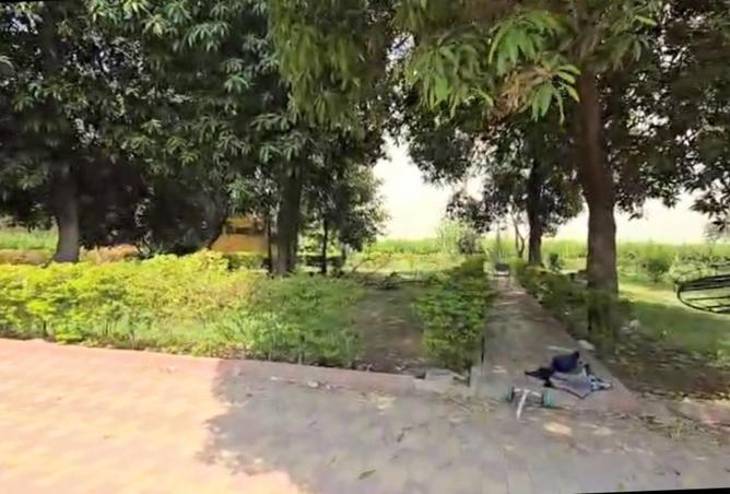 55509961 - صورة العقار 3